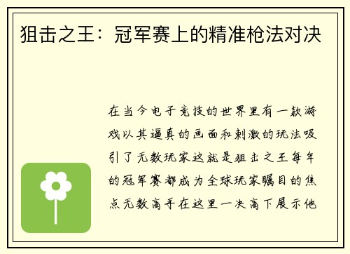 狙击之王：冠军赛上的精准枪法对决